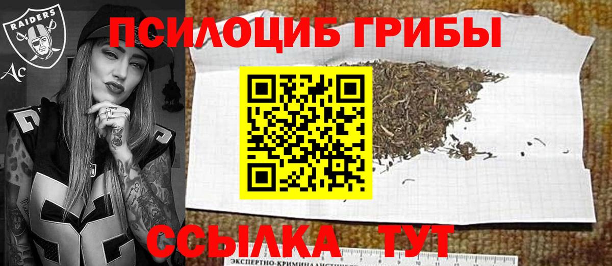 Псилоцибиновые грибы мицелий Пугачёв