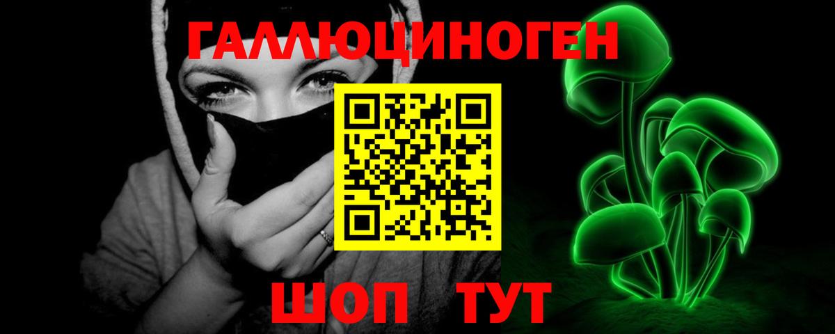 наркота  Вход с VPN  Пугачёв  Псилоцибиновые грибы Psilocybine cubensis  Галлюциногенные грибы Psilocybine cubensis 